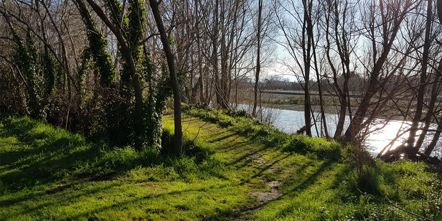 Andrew Reece Memorial Relay