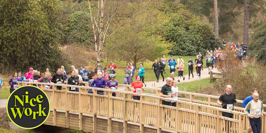 Bedgebury Forest Half Marathon & 10K