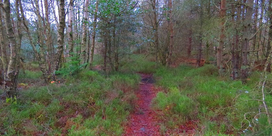 Glentress 8-hour Challenge