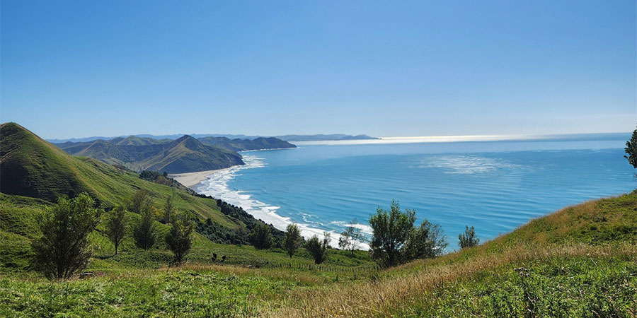 Gizzy Trail Run Series: Nicks Head Station - Mapere