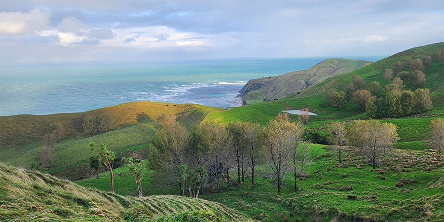 Gizzy Trail Run Series: Turihaua Station