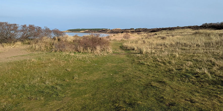 Tentsmuir Forest 8-hour Challenge
