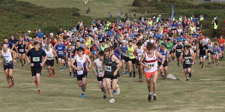 Haytor Heller