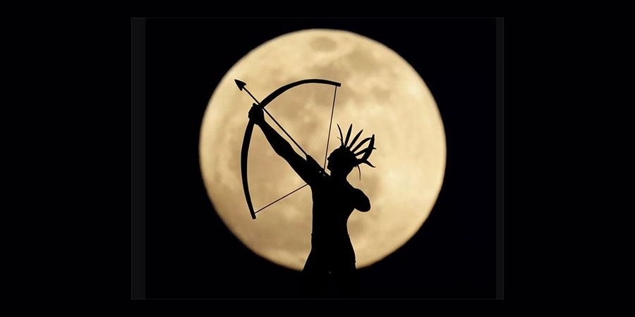 Hunter's Moon Trail Half Marathon