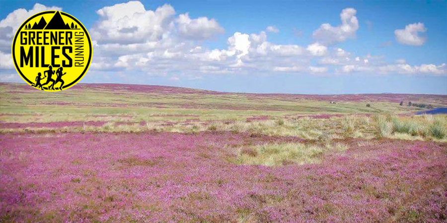 Isaac’s Tea Trail Ultra Isaac’s Tea Trail Ultra