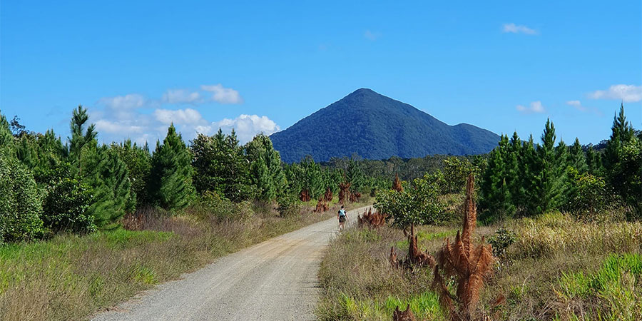 Kuranda to Port Douglas Trail Ultra Marathon