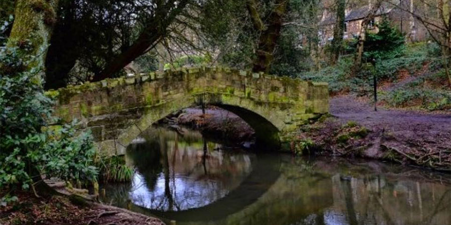 Meanwood Valley Trail Race