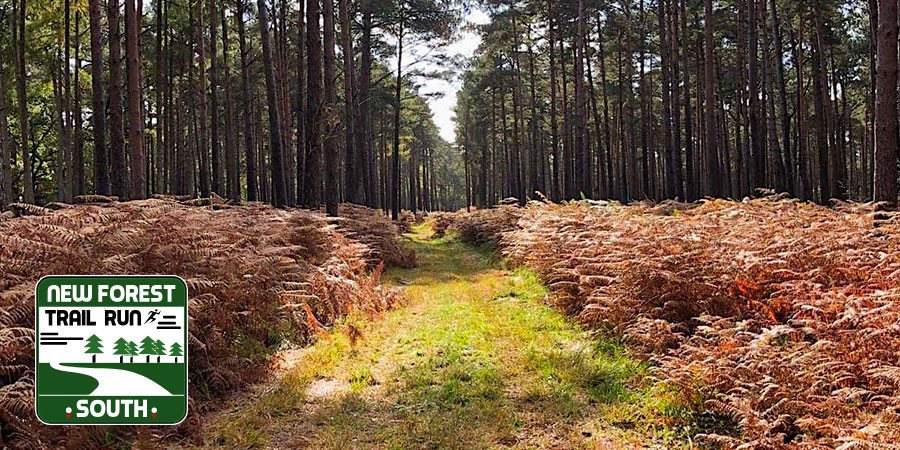 New Forest South Trail Run