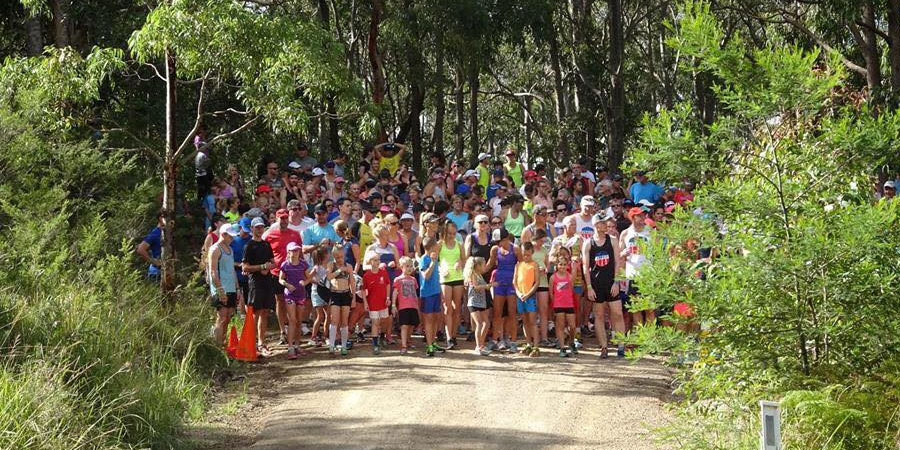 Newcastle Cross Country: Kitchener