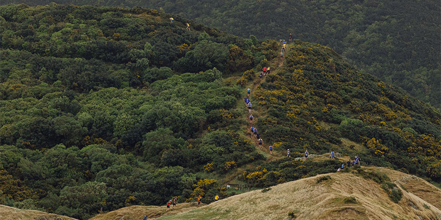 Nelson Mountain Running Festival
