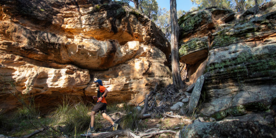Pilliga Ultra