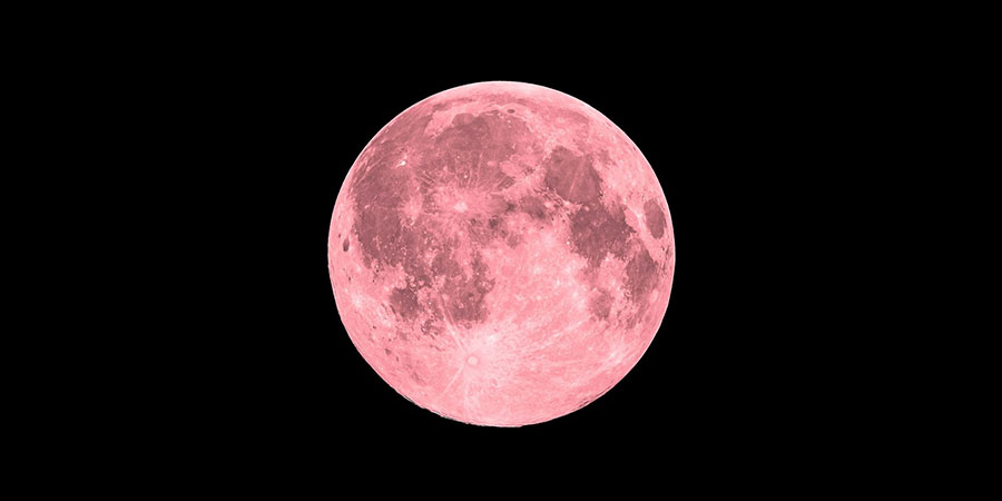 Pink Moon Trail Half Marathon Pink Moon Trail Half Marathon