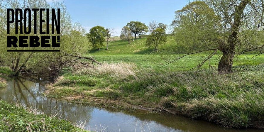 Protein Rebel Running Festival