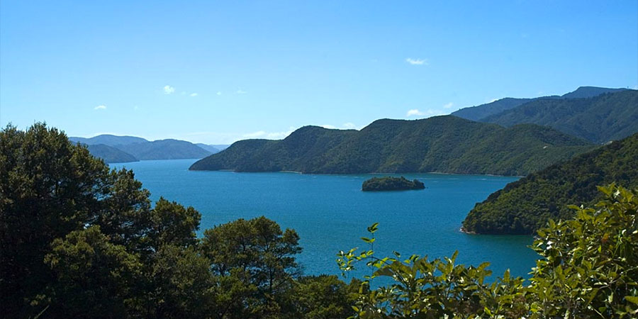 Marlborough Ruck Challenge