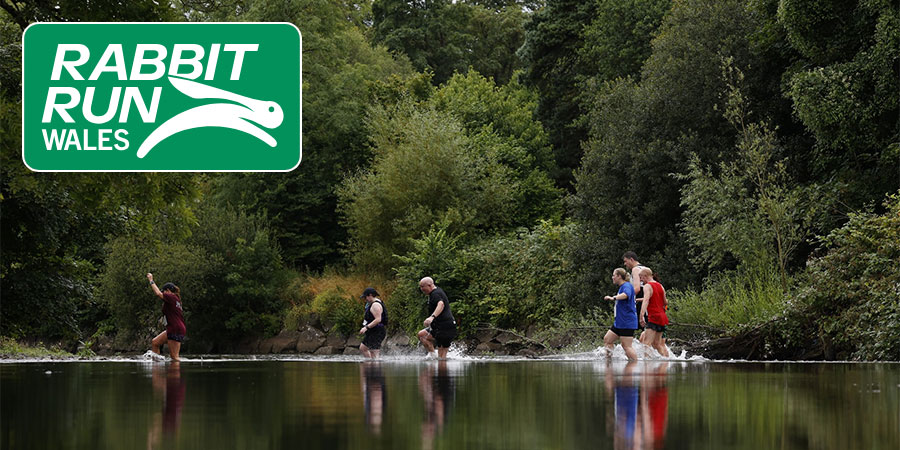 Rabbit Run Wales Rabbit Run Wales