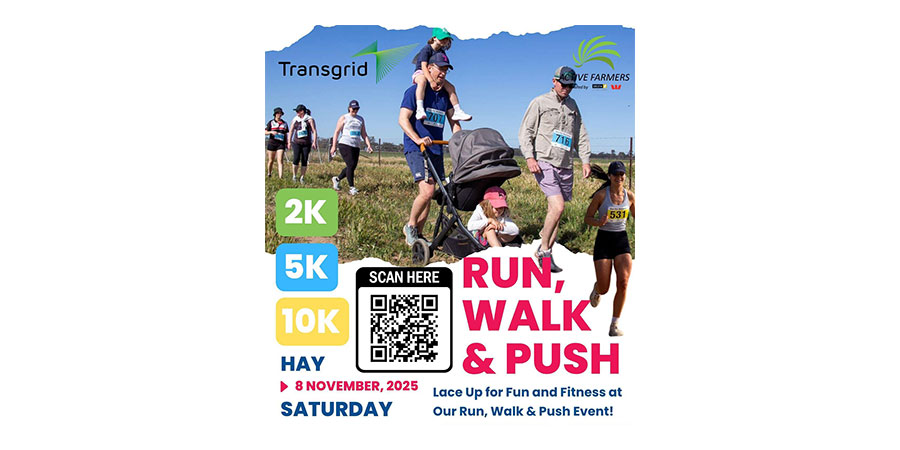 Run 4 Resilience - Hay