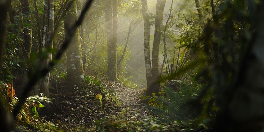 Run Taupō Trail Run Series