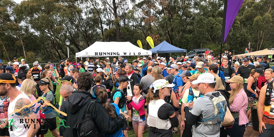 Wentworth Falls Trail Run