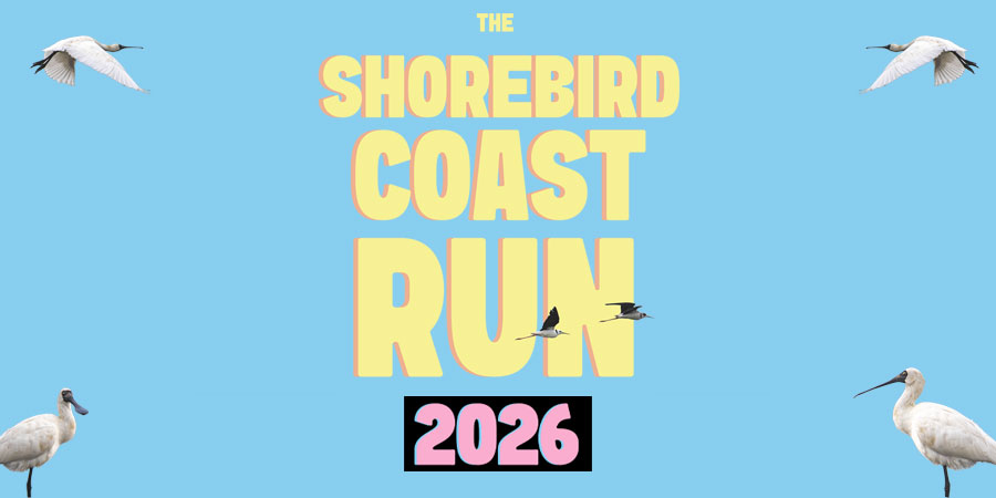 The Shorebird Coast Run