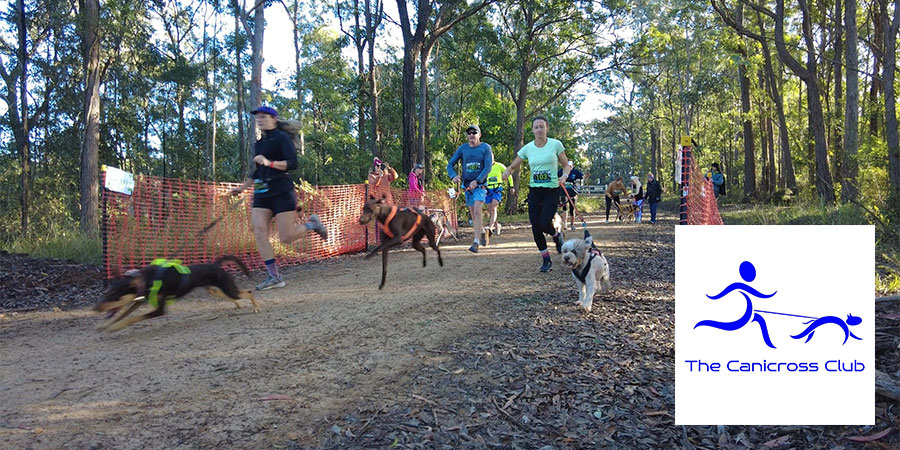 Middle Ridge Ramble Canicross