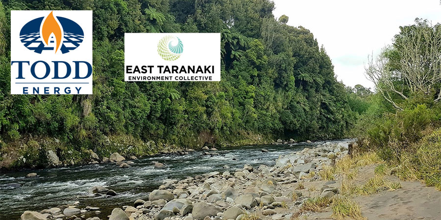 Todd Energy Everett Park Fun Run