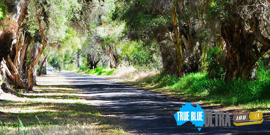 True Blue Ultra