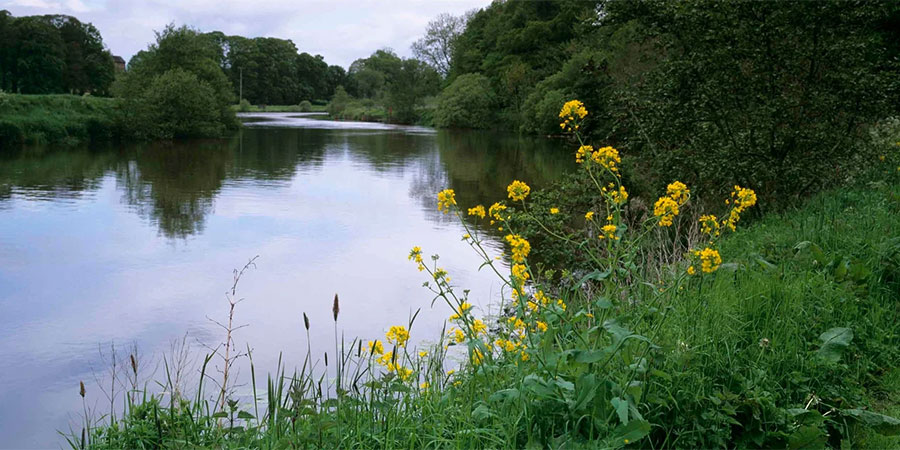 The Argory Family Friendly Summer Run