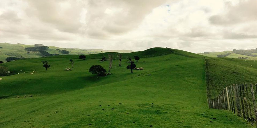 Waikaretu School Farm Fun Run
