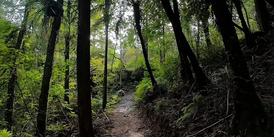 Waipu Caves Farm Park Trail Run/Walk