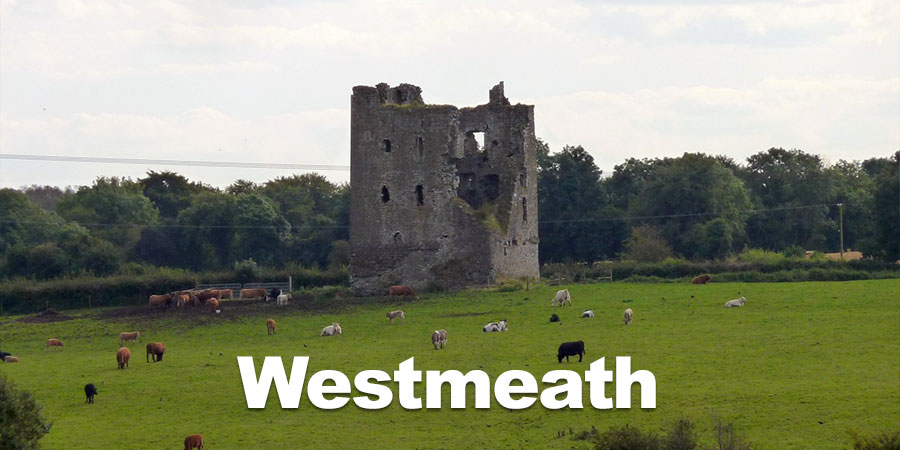 County Westmeath Adventure Race Calendar