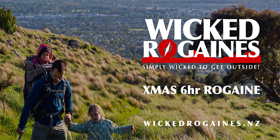 Wicked Christmas Rogaine