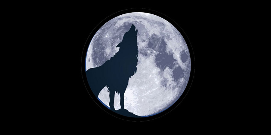 Wolf Moon Trail Half Marathon