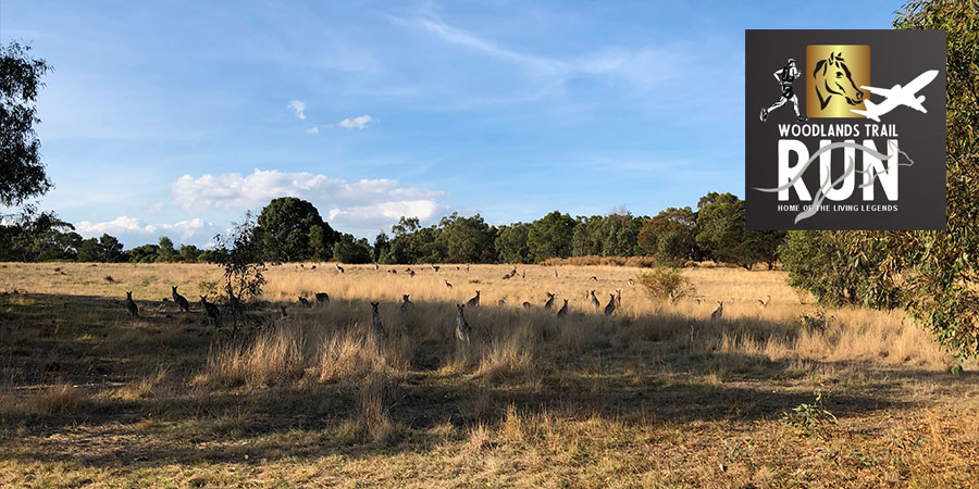 Woodlands Trail Run Woodlands Trail Run