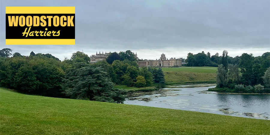 Woodstock 12 & 4 Mile Race