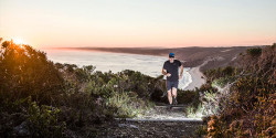 Portland 3 Bays Running Festival