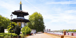 Battersea Winter Run Festival