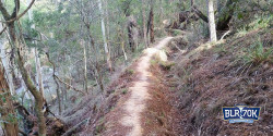 The Berry Long Run