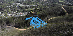 Bright Running Festival