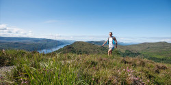 By Way of The Glen