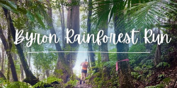 Byron Rainforest Run