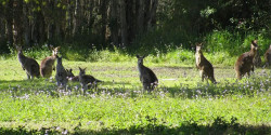 Coombabah Trail Run