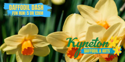 Daffodil Dash