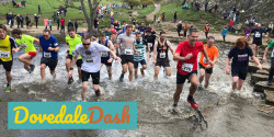Dovedale Dash