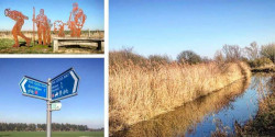 Ely Runfest