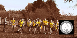 Halcombe Relays