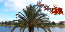 Reindeer Run
