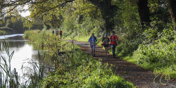 Grand Canal Canter: Autumn