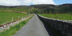 Gullion Way Ultra Marathon