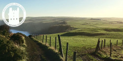 Hardmoors 15 Trail Run