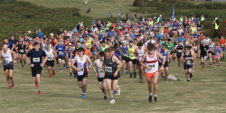 Haytor Heller